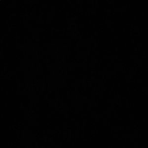 Meet your Posher, Mollie